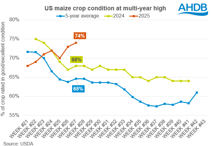 Graph showing US maize conditions 08 07 2025